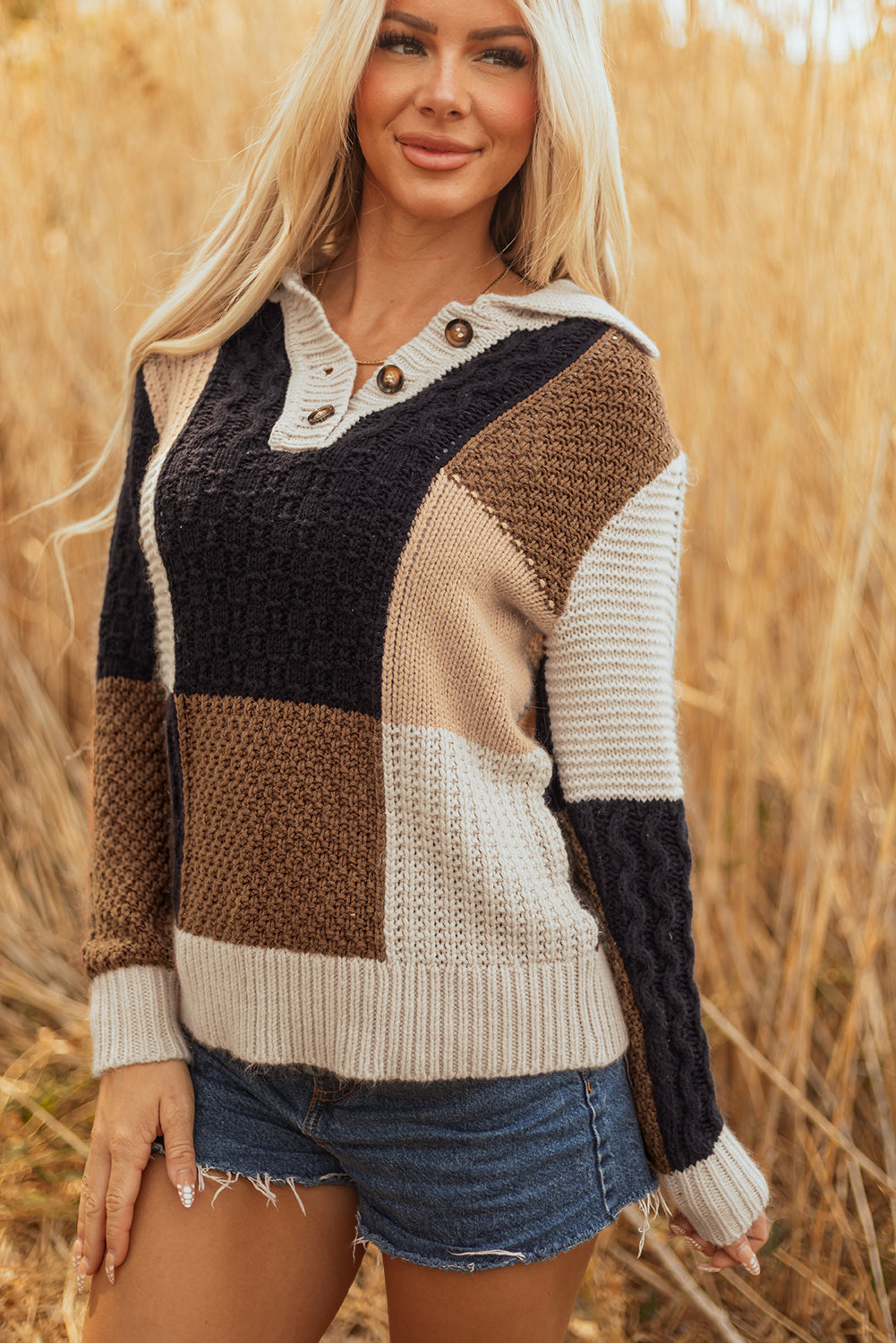 Multicolour Color Block Cable Knit Sleeve Buttons Collared Sweater-TOPS / DRESSES-[Adult]-[Female]-2022 Online Blue Zone Planet