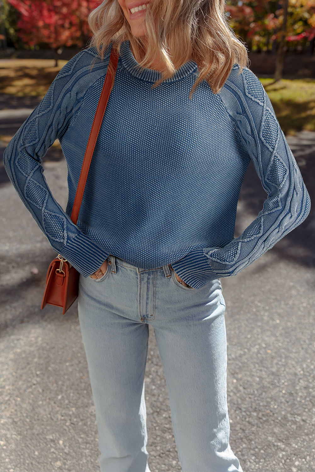 Ashleigh Blue Contrast Cable Knit Sleeve Casual Sweater-TOPS / DRESSES-[Adult]-[Female]-Ashleigh Blue-S-2022 Online Blue Zone Planet