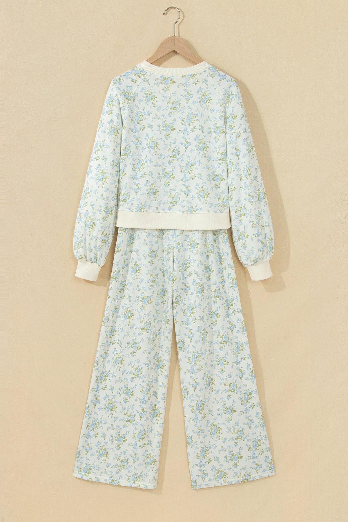 Sky Blue Floral Print Long Sleeve Top Drawstring Wide Leg Pants Set-Two Piece Sets/Pant Sets-[Adult]-[Female]-2022 Online Blue Zone Planet