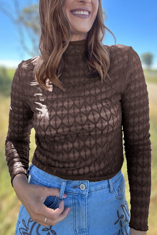 Chicory Coffee Sheer Textured Lace Stand Neck Long Sleeve Top-Tops/Long Sleeve Tops-[Adult]-[Female]-2022 Online Blue Zone Planet