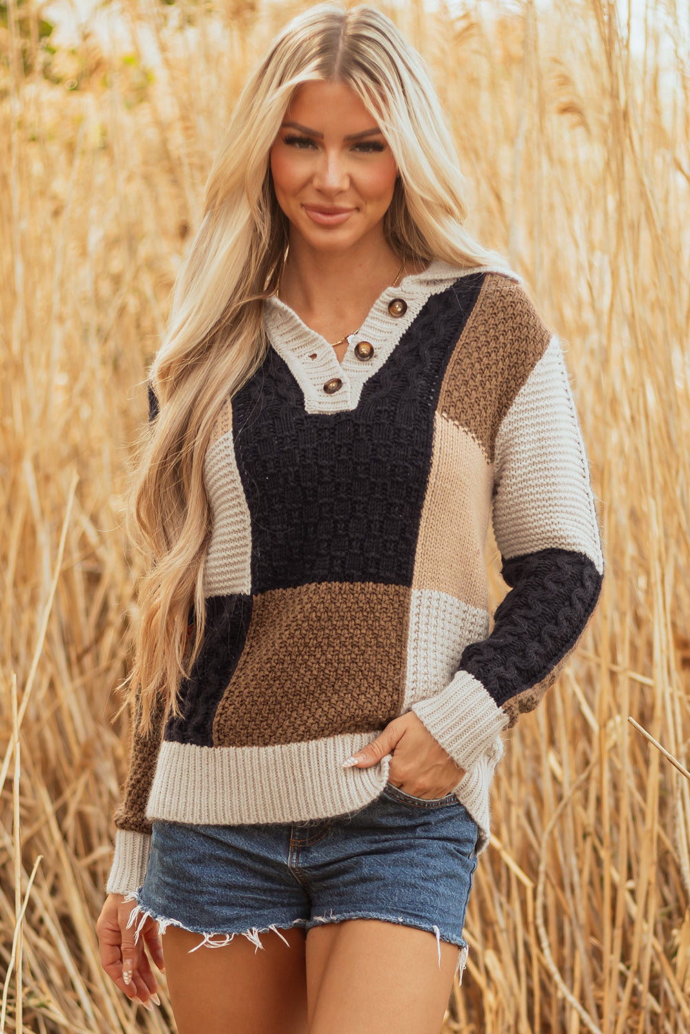 Multicolour Color Block Cable Knit Sleeve Buttons Collared Sweater-TOPS / DRESSES-[Adult]-[Female]-2022 Online Blue Zone Planet