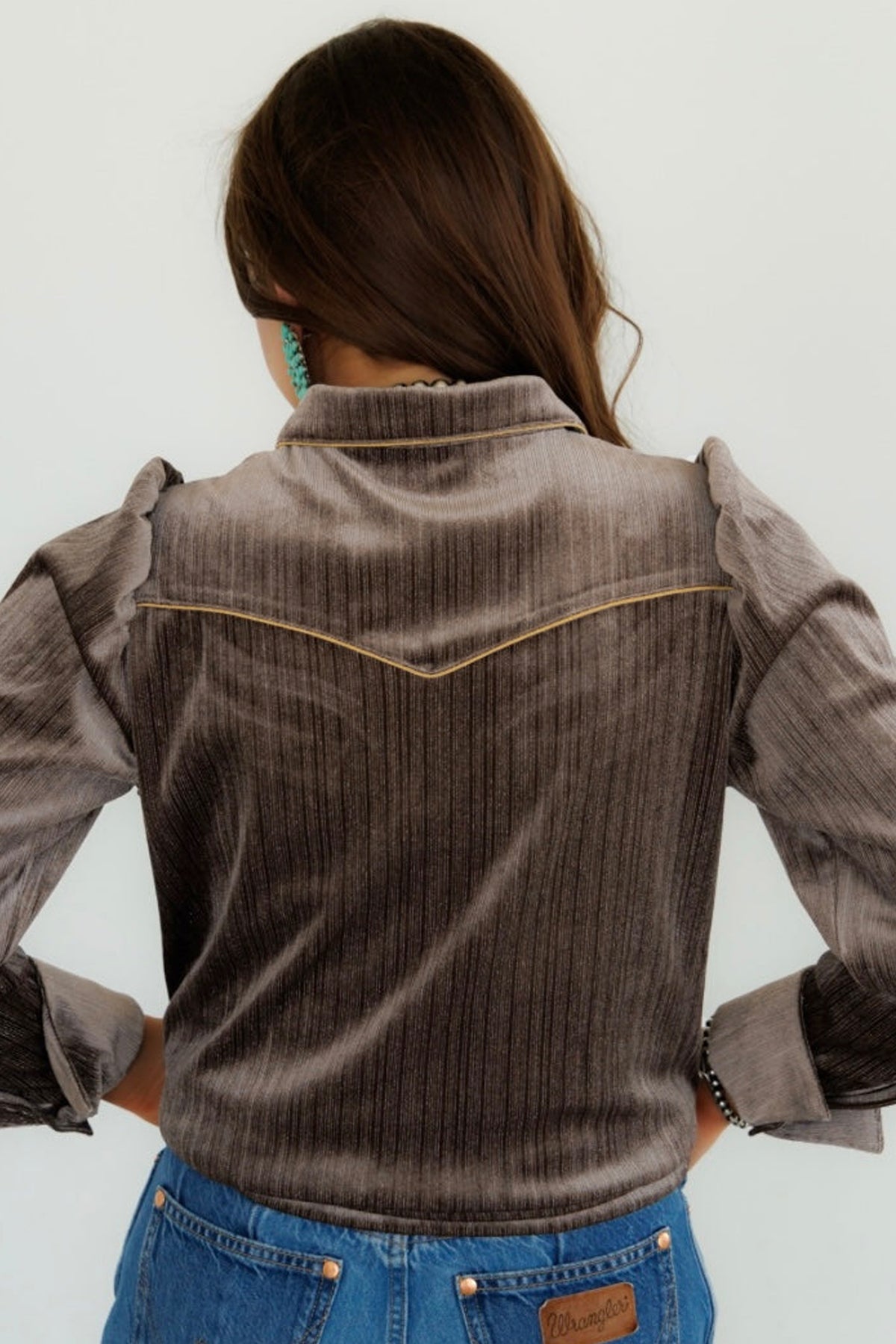Chicory Coffee Velvet Western Embroidery Puff Sleeve Button Down Shirt-Tops/Blouses & Shirts-[Adult]-[Female]-2022 Online Blue Zone Planet