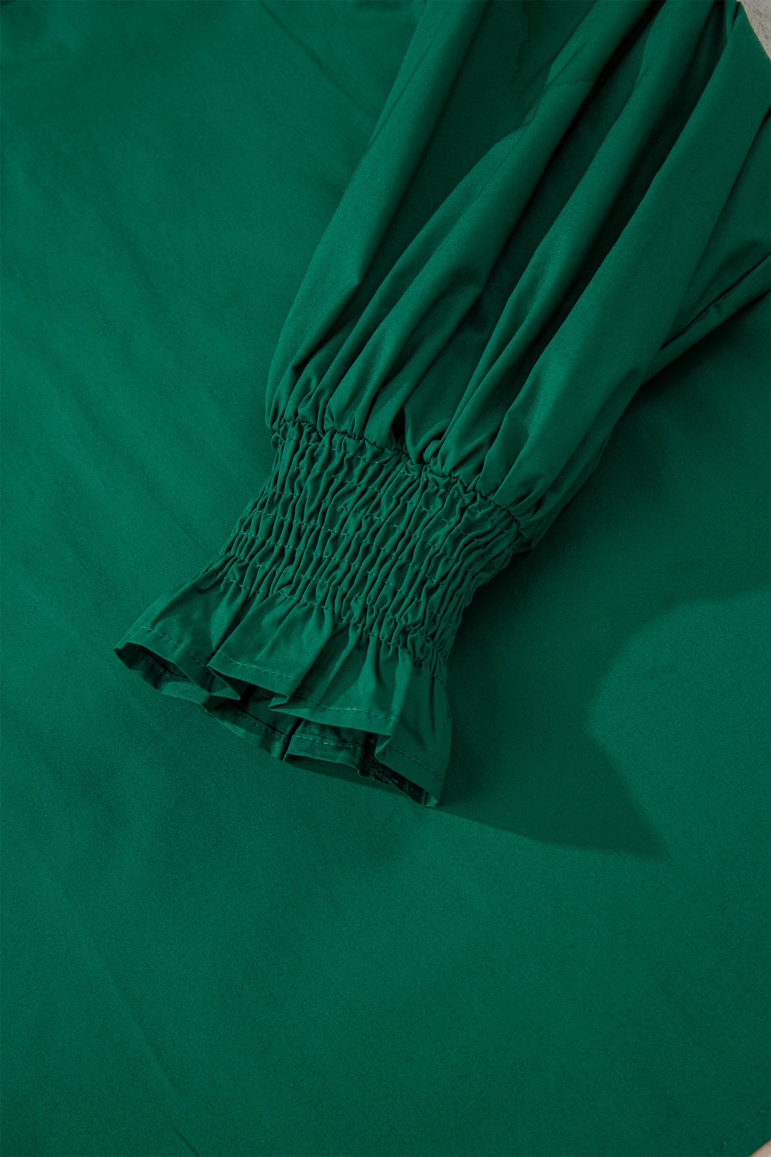 Evergreen Puffy Flounce Sleeve Leopard Trim V Neck Blouse-Tops/Blouses & Shirts-[Adult]-[Female]-2022 Online Blue Zone Planet