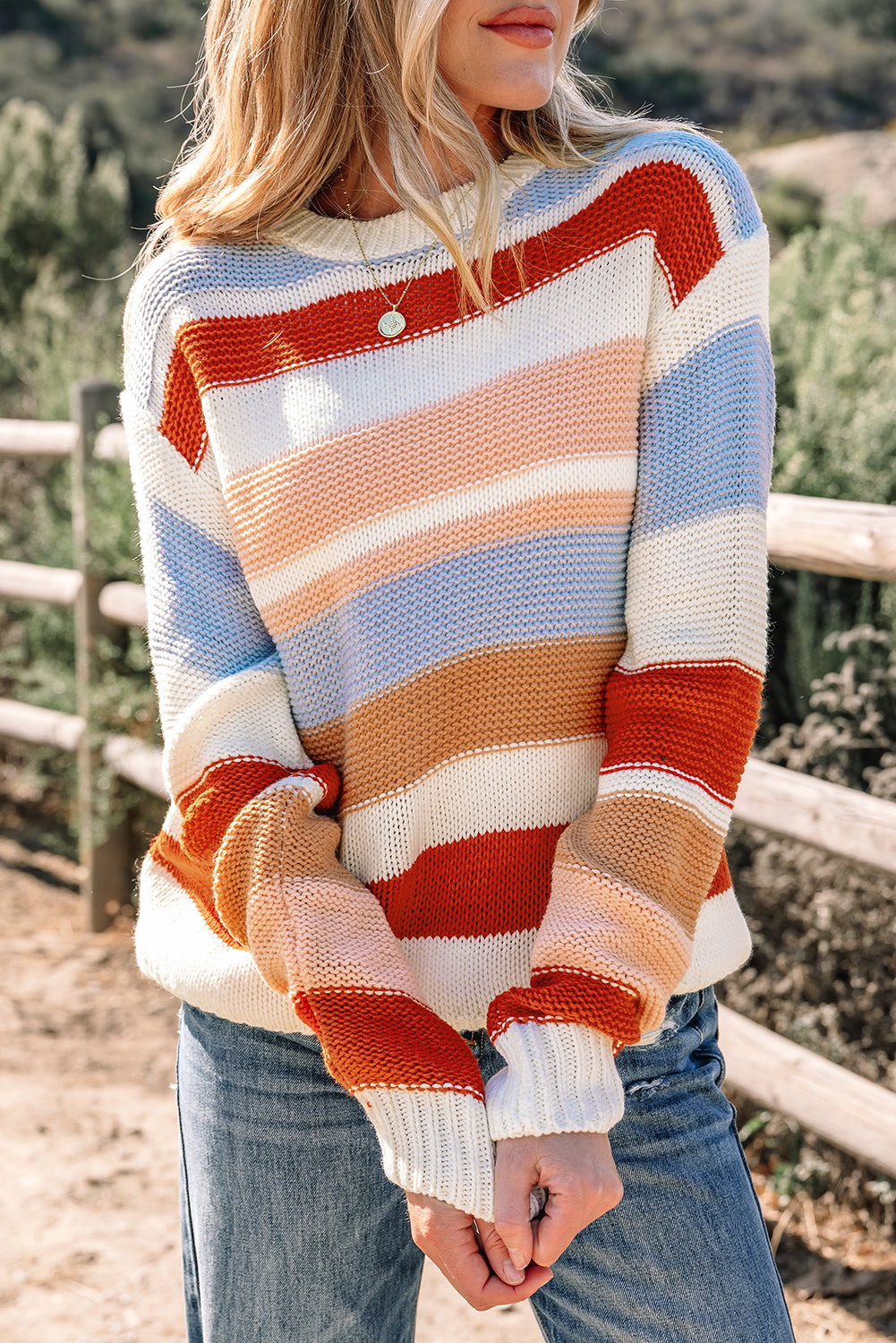 Pink Striped Colorblock Round Neck Drop Shoulder Sweater-Sweaters & Cardigans/Sweaters-[Adult]-[Female]-2022 Online Blue Zone Planet