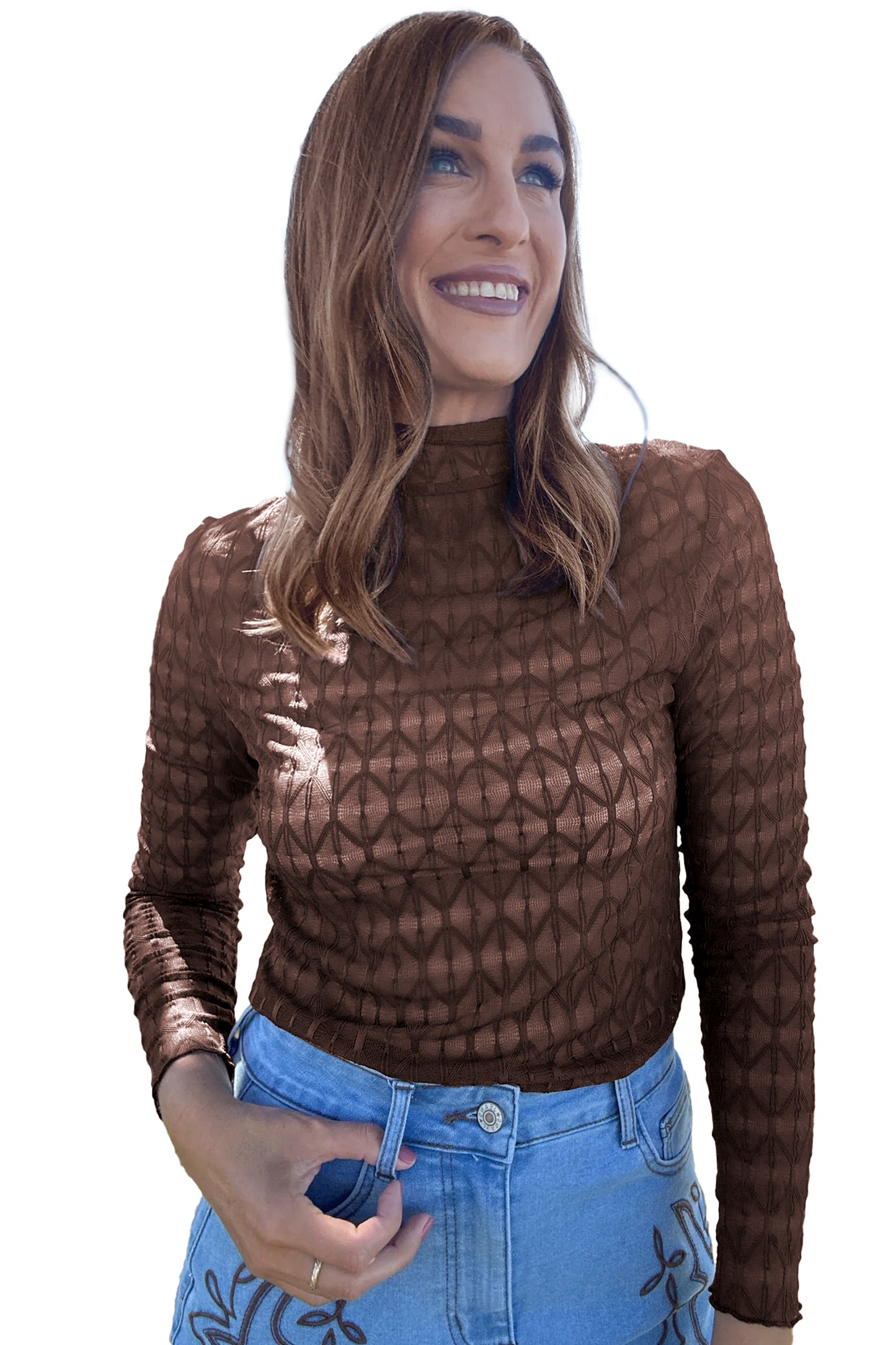 Chicory Coffee Sheer Textured Lace Stand Neck Long Sleeve Top