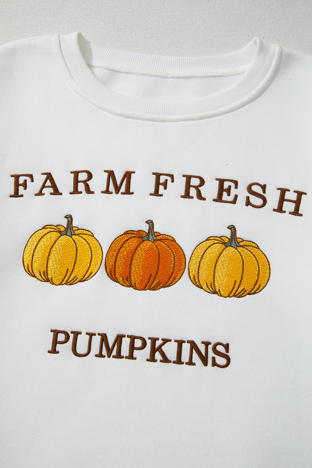 White Farm Fresh Pumpkins Embroidered Graphic Thanksgiving Holiday Sweatshirt-Tops/Sweatshirts & Hoodies-[Adult]-[Female]-2022 Online Blue Zone Planet