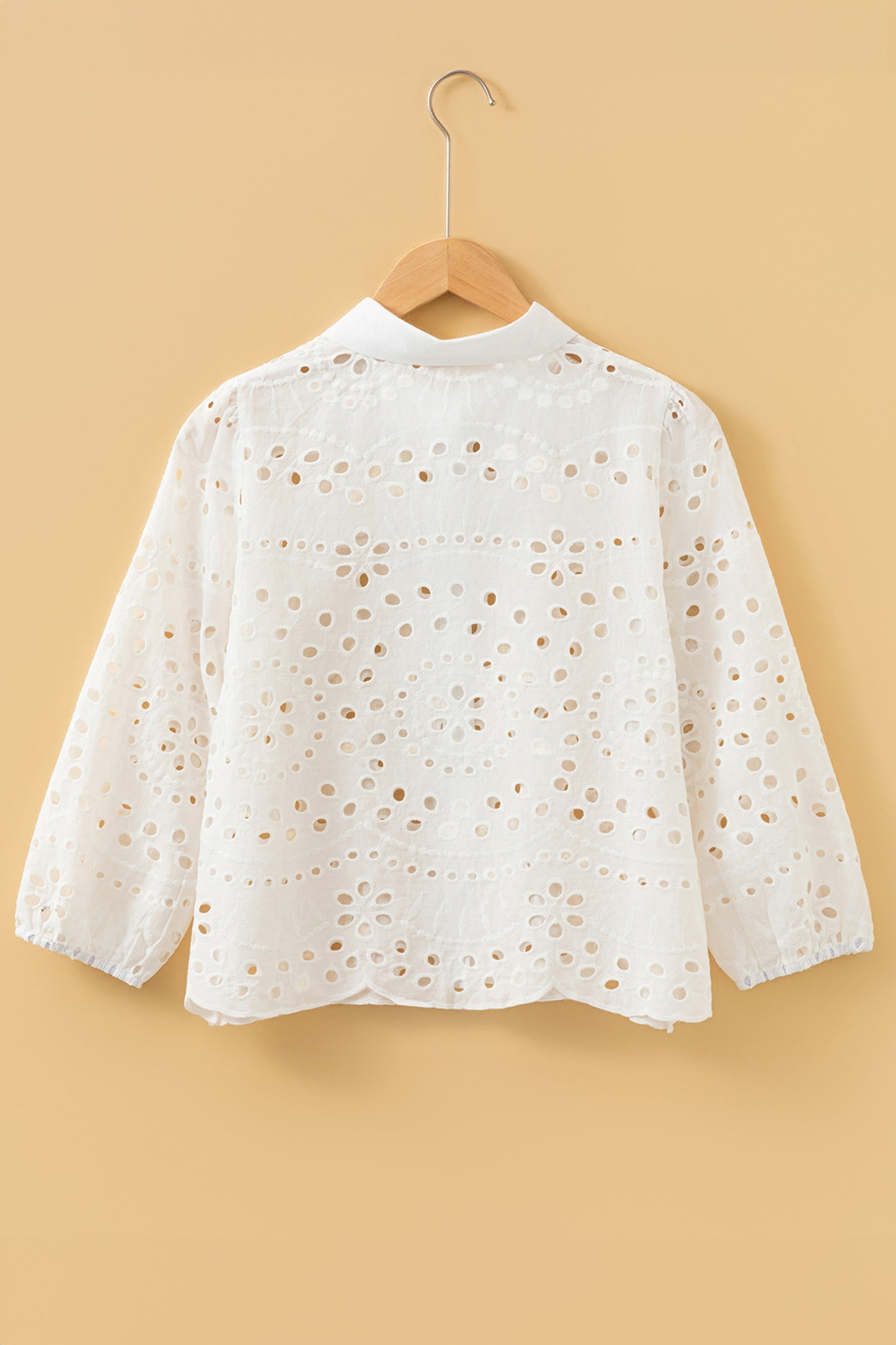 White Eyelet Embroidered Puff Sleeve Crop Shirt-Tops/Blouses & Shirts-[Adult]-[Female]-2022 Online Blue Zone Planet