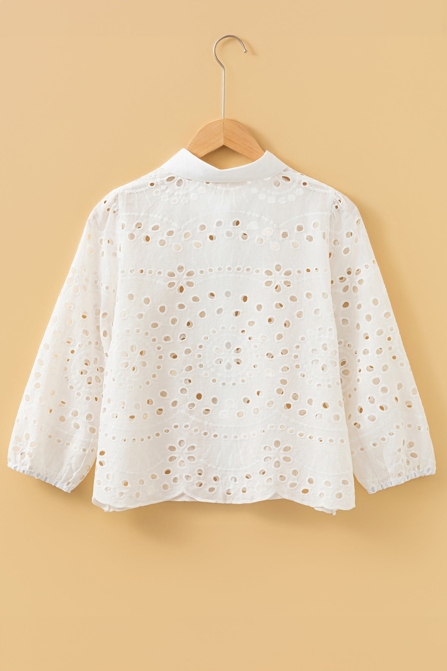 White Eyelet Embroidered Puff Sleeve Crop Shirt-Tops/Blouses & Shirts-[Adult]-[Female]-2022 Online Blue Zone Planet