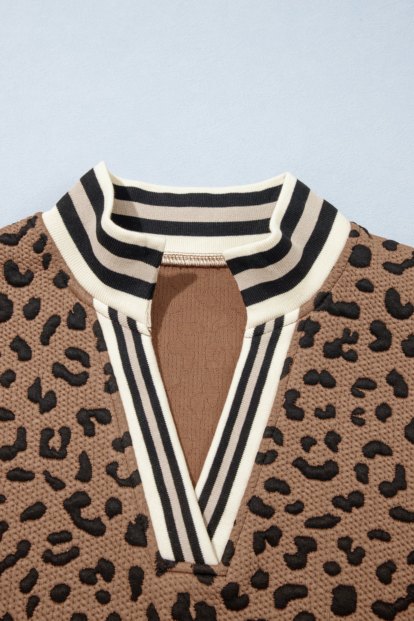 Brown Leopard Print Striped Trim Collar Long Sleeve Shift Pullover-Tops/Long Sleeve Tops-[Adult]-[Female]-2022 Online Blue Zone Planet