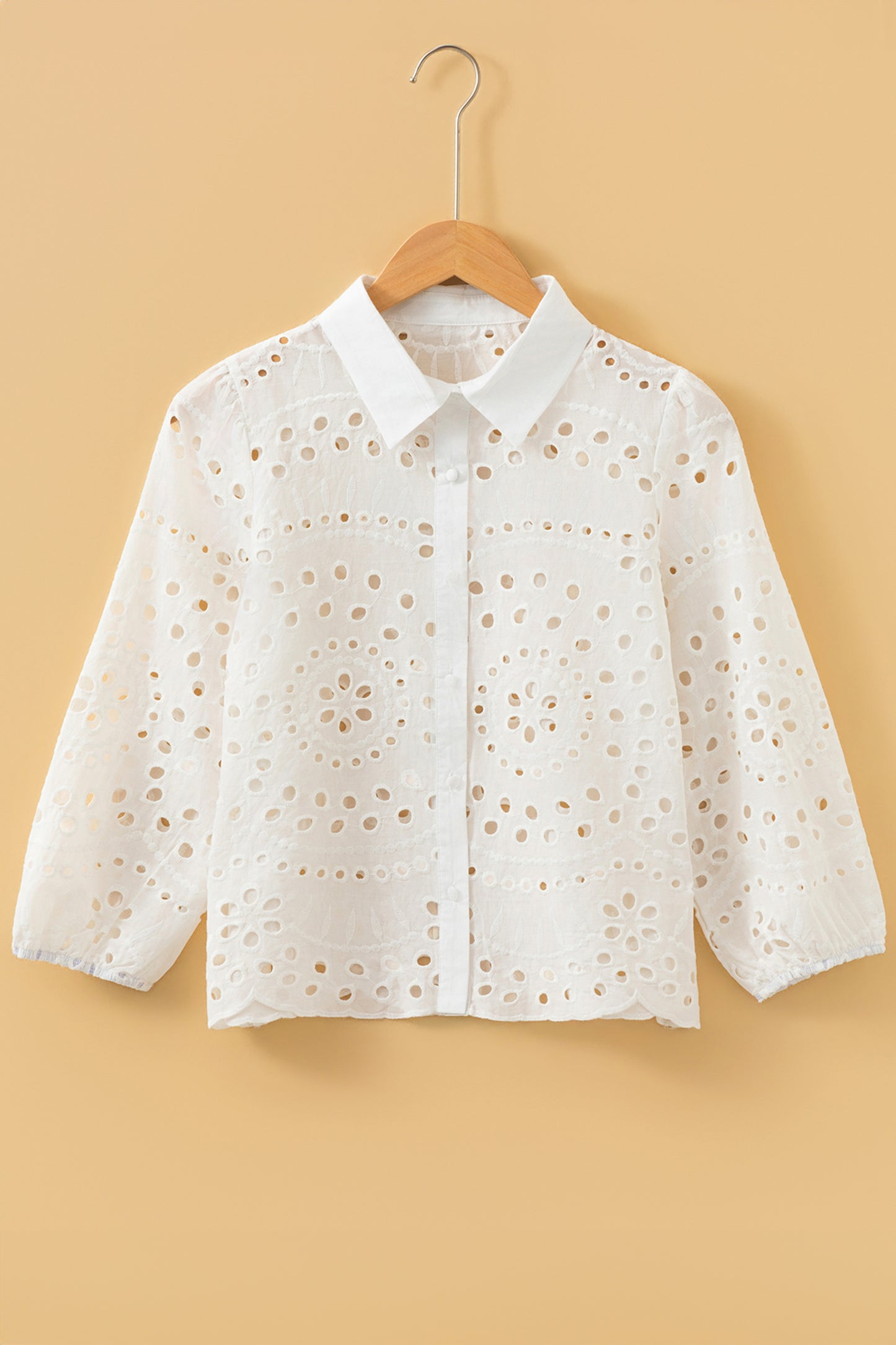 White Eyelet Embroidered Puff Sleeve Crop Shirt-Tops/Blouses & Shirts-[Adult]-[Female]-2022 Online Blue Zone Planet