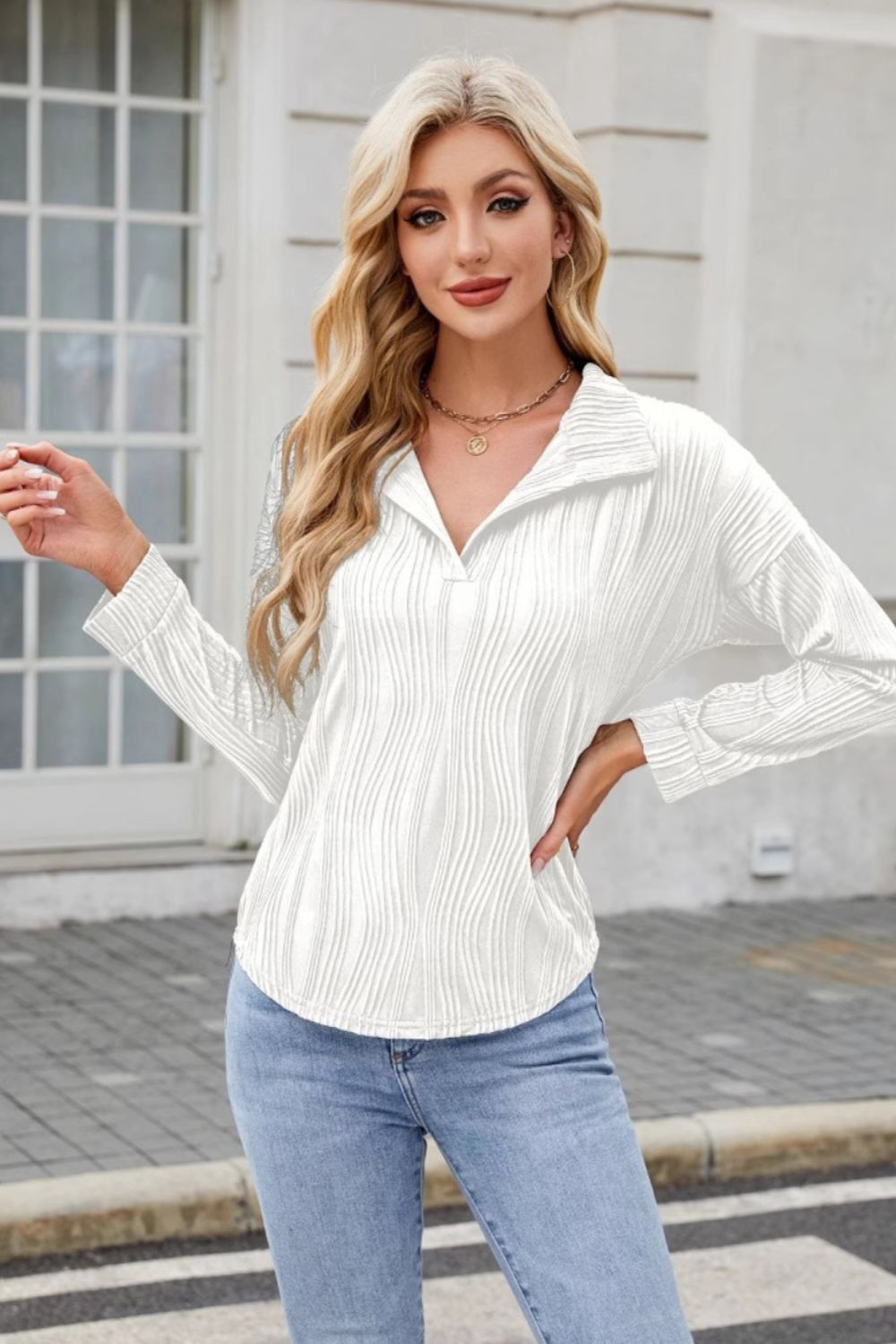 Texture Collared Neck Long Sleeve Blouse-TOPS / DRESSES-[Adult]-[Female]-2022 Online Blue Zone Planet
