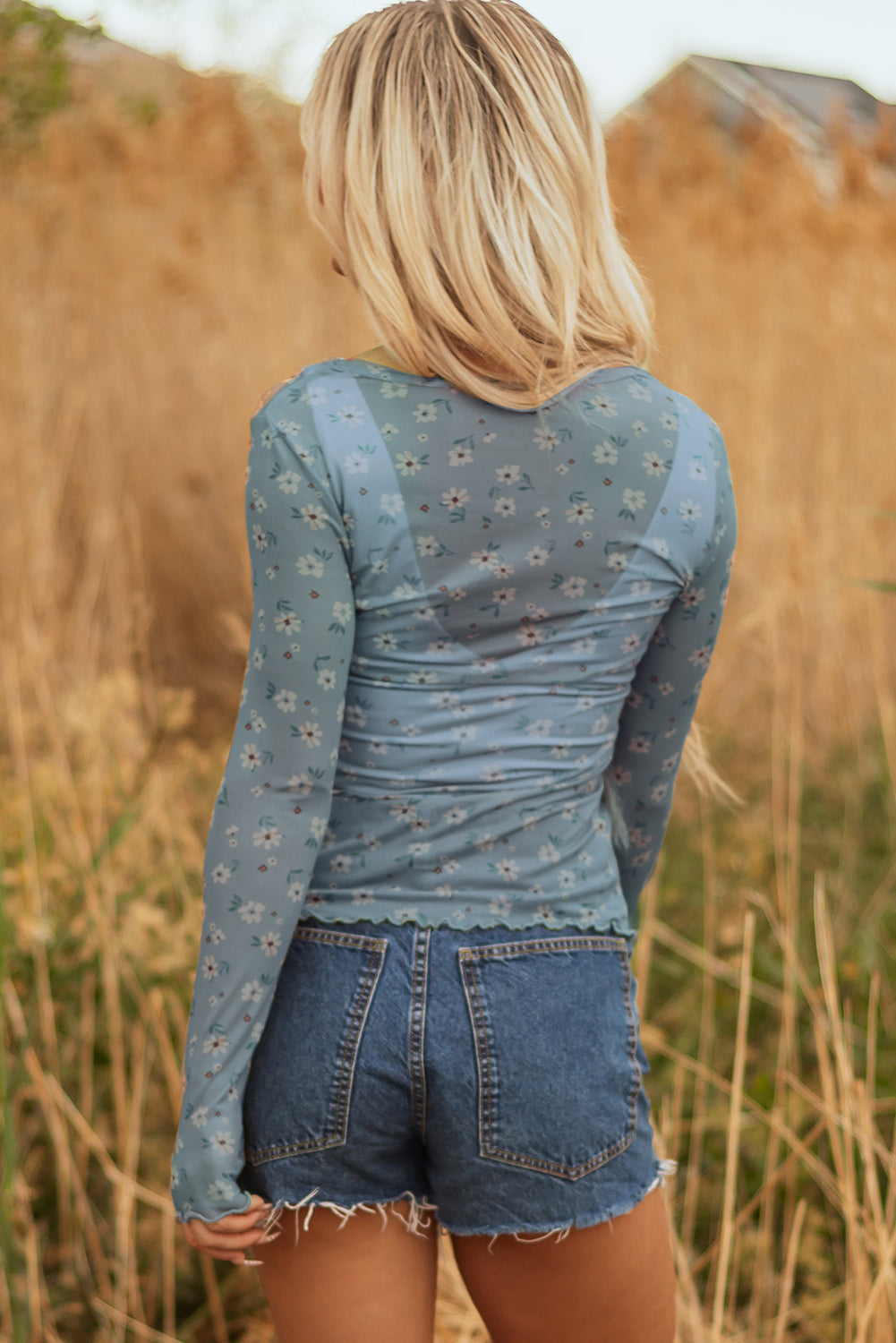 Sky Blue Vintage Floral Print Southern Style Mesh Long Sleeve Top-Tops/Long Sleeve Tops-[Adult]-[Female]-2022 Online Blue Zone Planet
