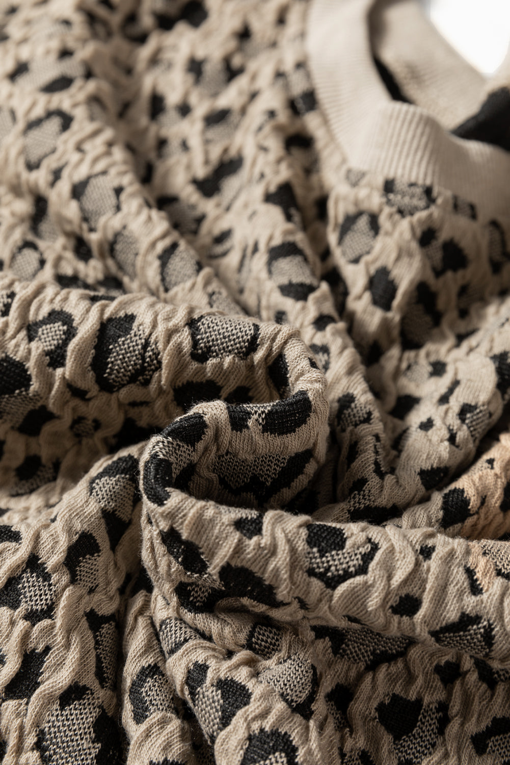 Brown Ribbed Trim Leopard Print Long Sleeve Top-Tops/Long Sleeve Tops-[Adult]-[Female]-2022 Online Blue Zone Planet