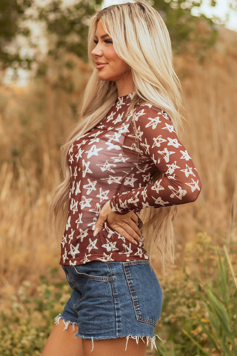 Red Mesh Star Print Mock Neck Sheath Long Sleeve Top-Tops/Long Sleeve Tops-[Adult]-[Female]-2022 Online Blue Zone Planet