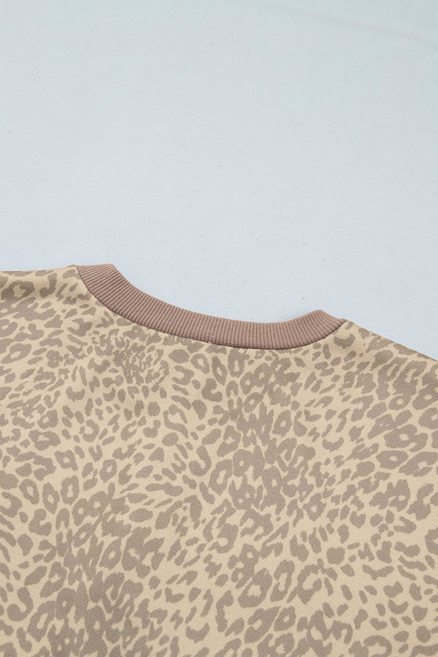 Khaki Leopard Star Print Long Sleeve Loose Casual Two Piece Pants Set-Two Piece Sets/Pant Sets-[Adult]-[Female]-2022 Online Blue Zone Planet