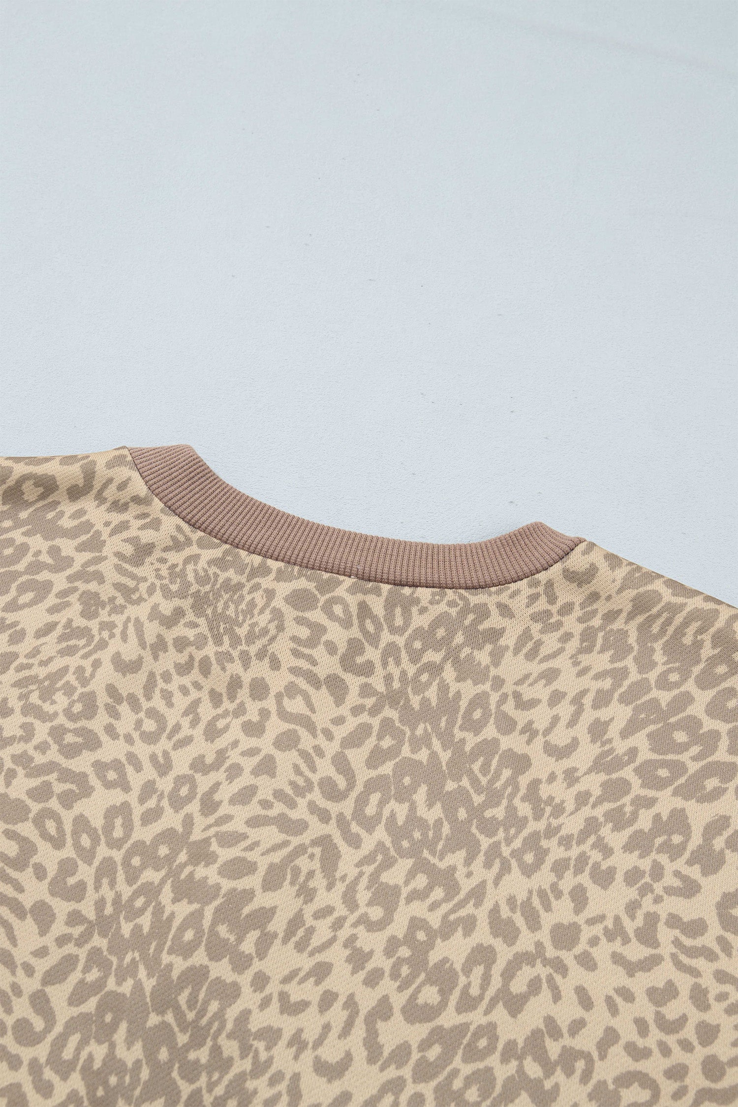 Khaki Leopard Star Print Long Sleeve Loose Casual Two Piece Pants Set-Two Piece Sets/Pant Sets-[Adult]-[Female]-2022 Online Blue Zone Planet