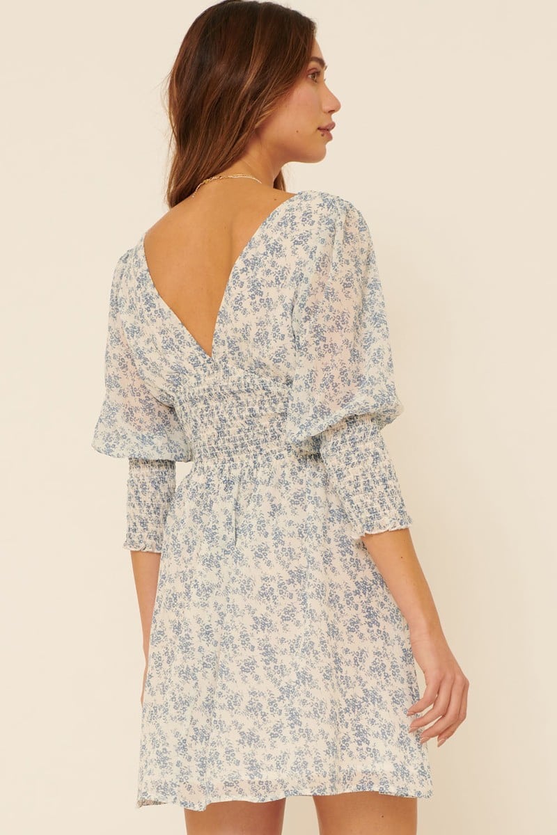 A Floral-print Chiffon Mini Dress Blue Zone Planet