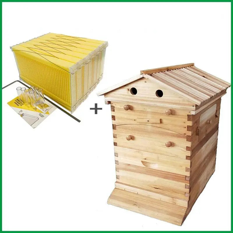 Automatic Honey Collection And Honey Bee Spleen Blue Zone Planet