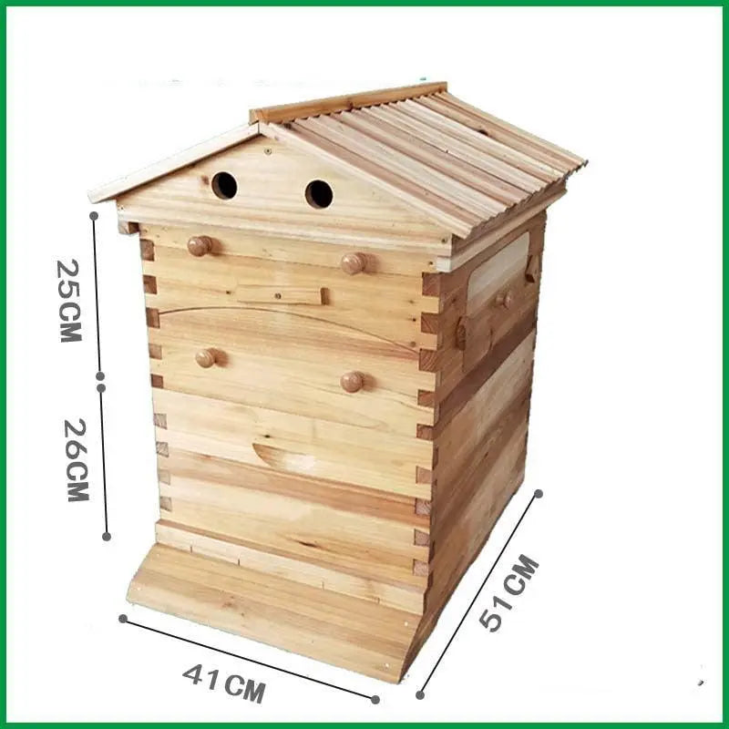 Automatic Honey Collection And Honey Bee Spleen Blue Zone Planet