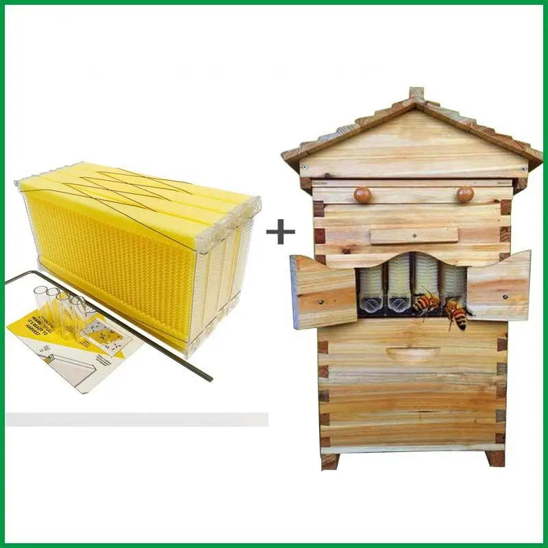 Automatic Honey Collection And Honey Bee Spleen Blue Zone Planet