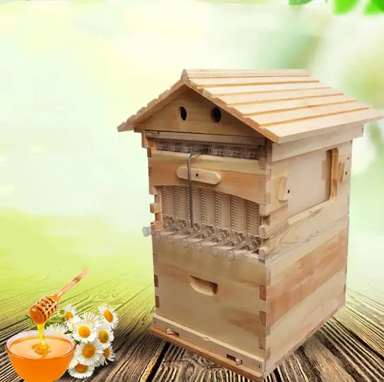Beehive Automatic Honey Collection And Honey Bee Spleen Blue Zone Planet