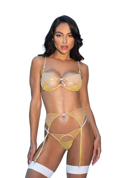 Gilded Beauty 3-Piece Garter Set Lingerie-[Adult]-[Female]-Gold-XS-2022 Online Blue Zone Planet