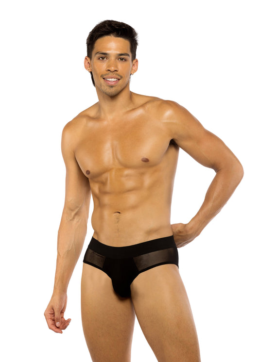 Sheer Peek-A-Boo Briefs Lingerie-[Adult]-[Female]-Black-S-2022 Online Blue Zone Planet