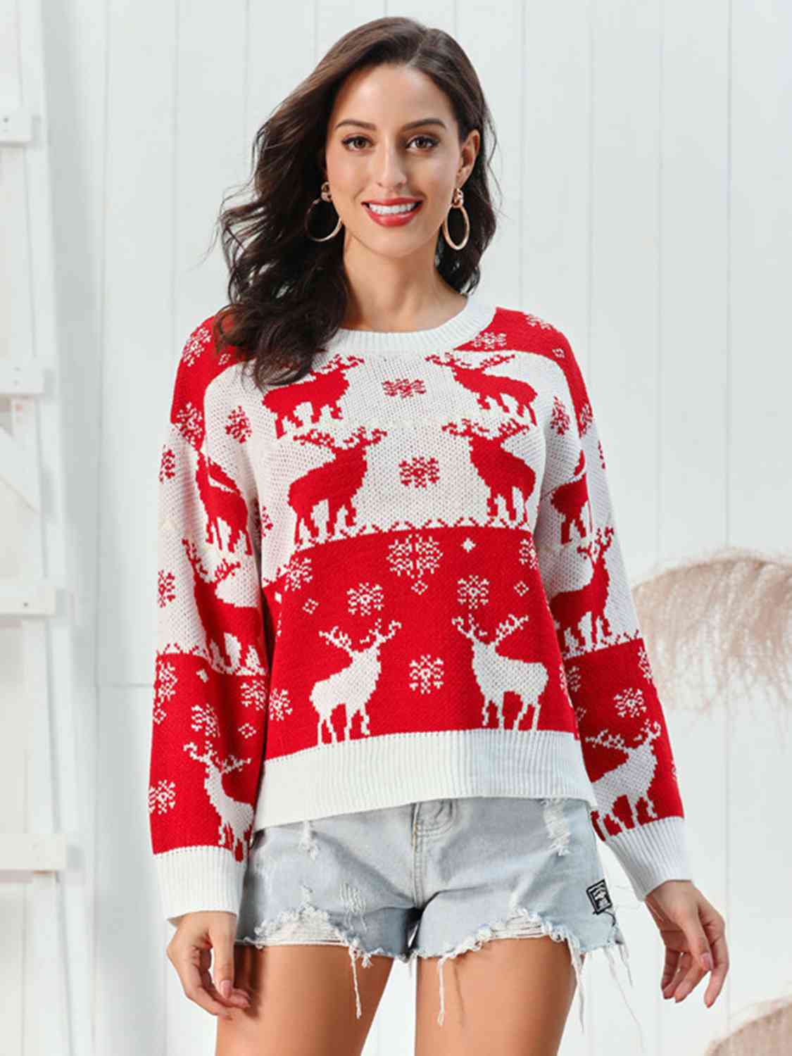 Reindeer Round Neck Sweater BLUE ZONE PLANET