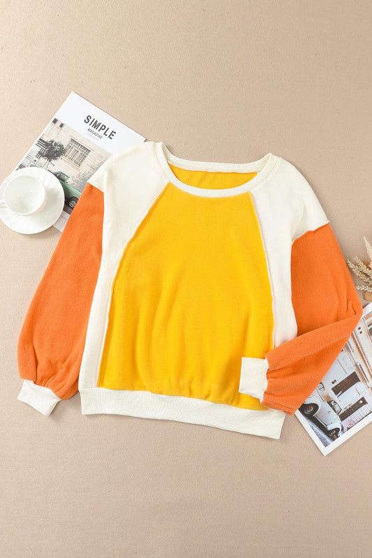 Round Neck Dropped Shoulder Color Block Sweatshirt BLUE ZONE PLANET