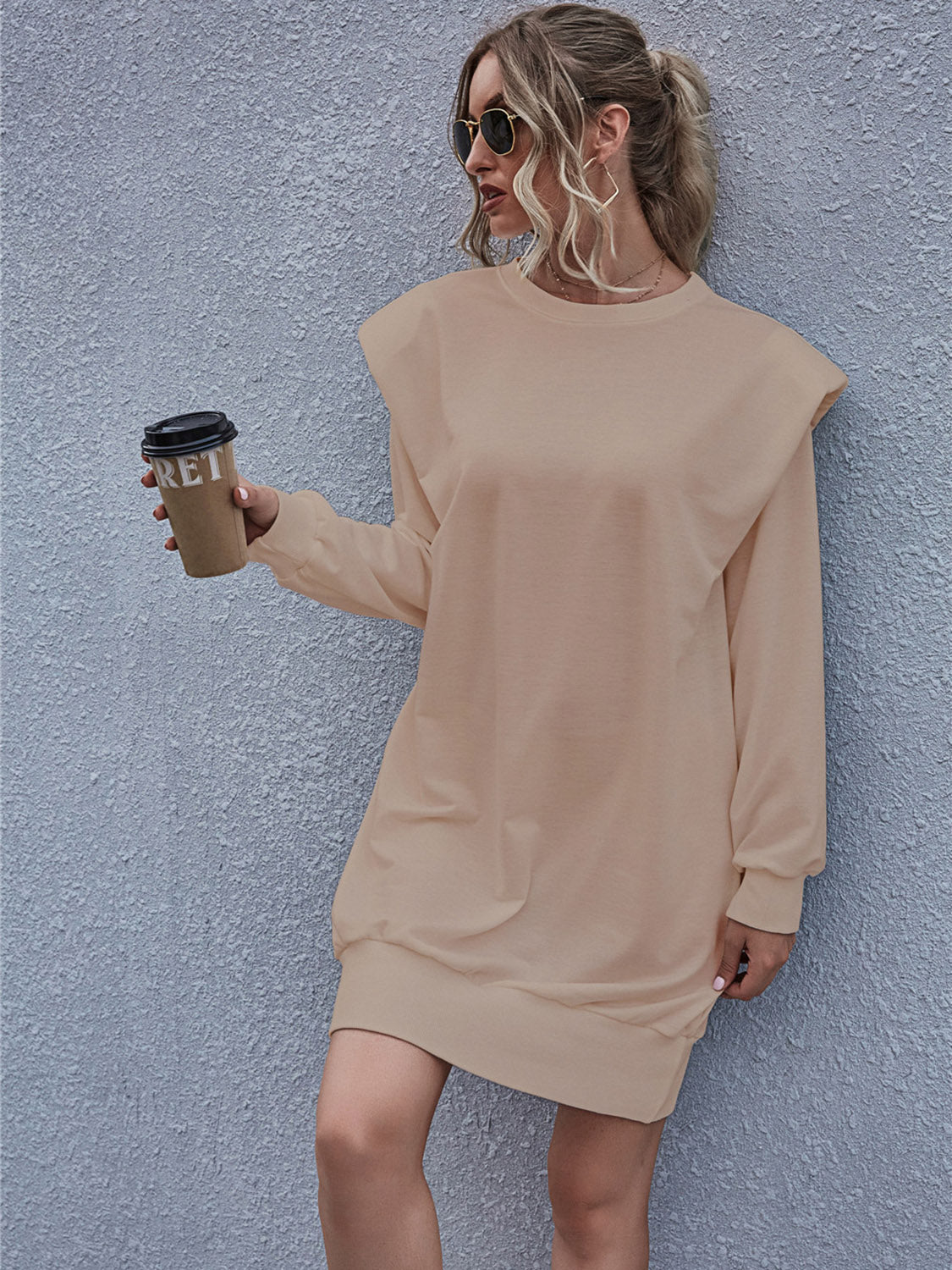 Round Neck Long Sleeve Mini Dress BLUE ZONE PLANET