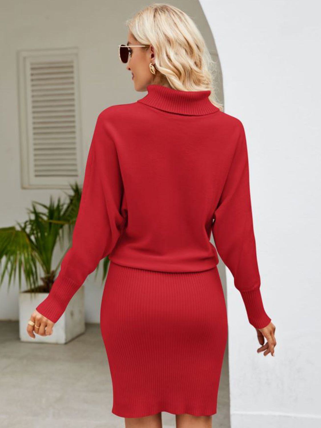 Turtle Neck Long Sleeve Ribbed Sweater Dress BLUE ZONE PLANET