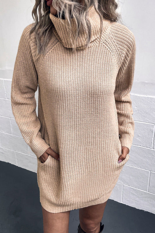 Turtleneck Sweater Dress with Pockets BLUE ZONE PLANET