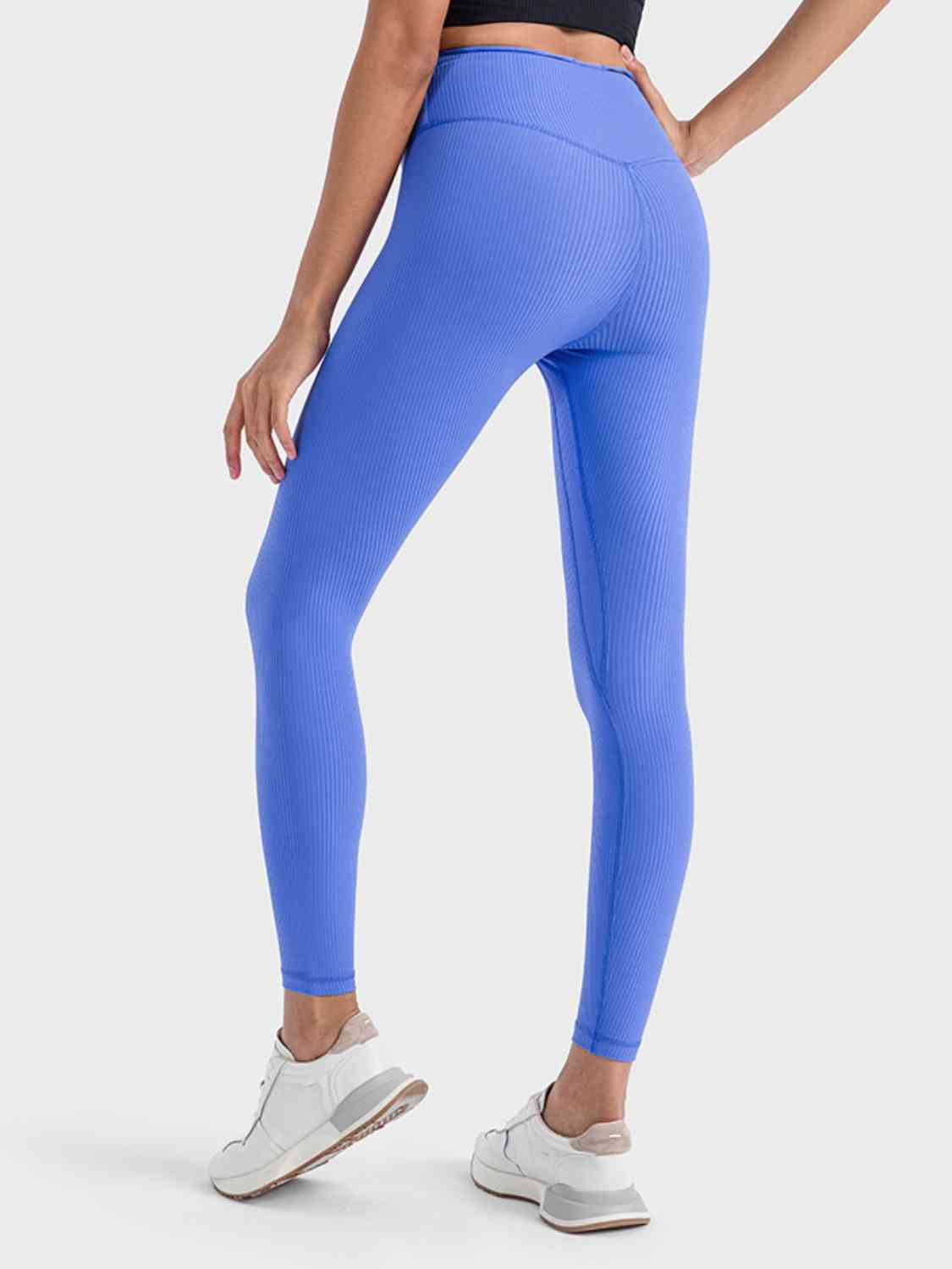 Wide Waistband Sports Leggings BLUE ZONE PLANET