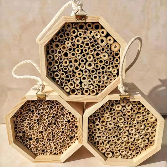 Wooden Bee Breeding Box Combination Blue Zone Planet