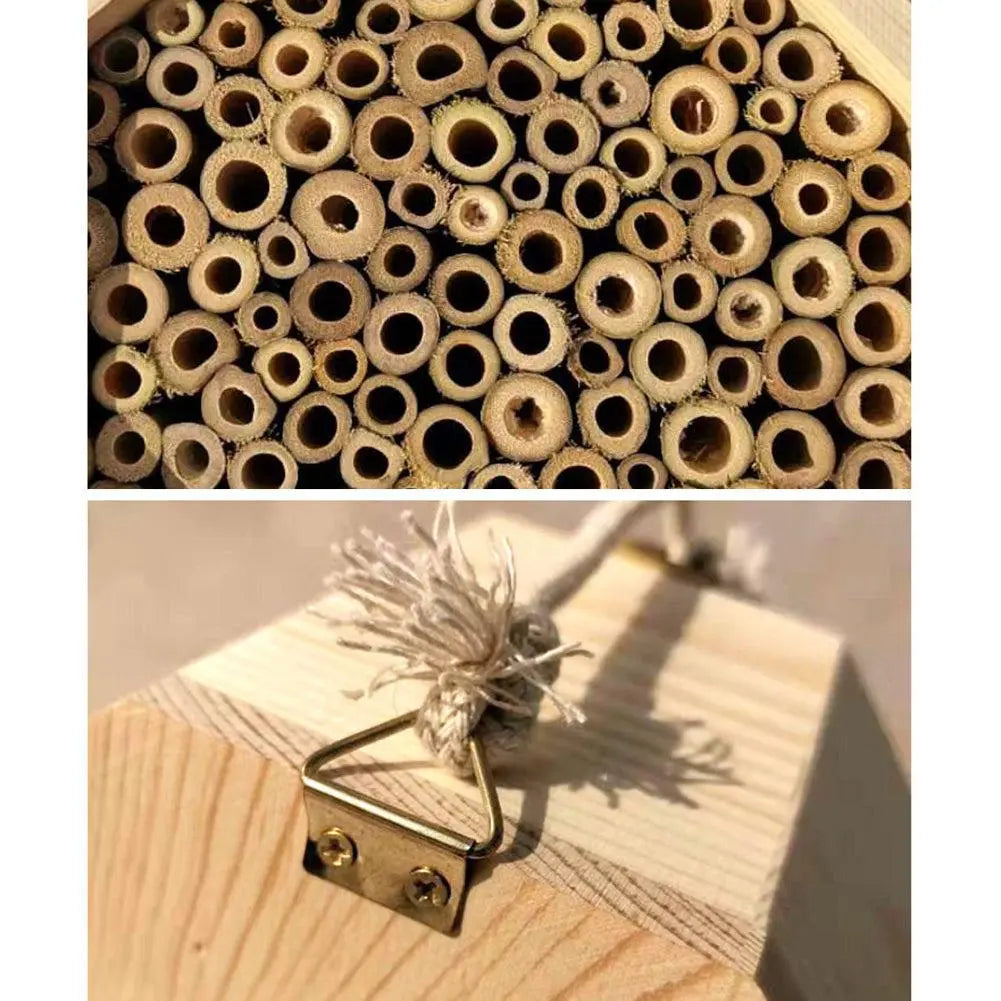 Wooden Bee Breeding Box Combination Blue Zone Planet