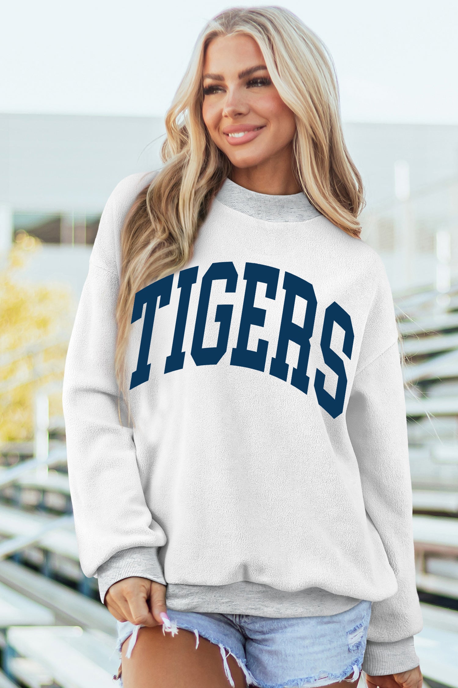 Light Grey WARDAMN/ TIGERS Double Side Printed High Neck Reversible Baggy Sweatshirt-Graphic/Graphic Sweatshirts-[Adult]-[Female]-2022 Online Blue Zone Planet