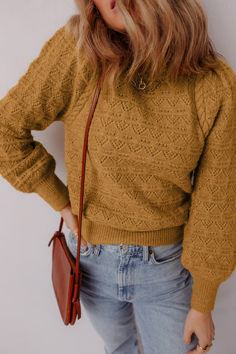 Jurassic Gold Hollow Out Crochet Ribbed Edge Balloon Sleeve Sweater-TOPS / DRESSES-[Adult]-[Female]-2022 Online Blue Zone Planet