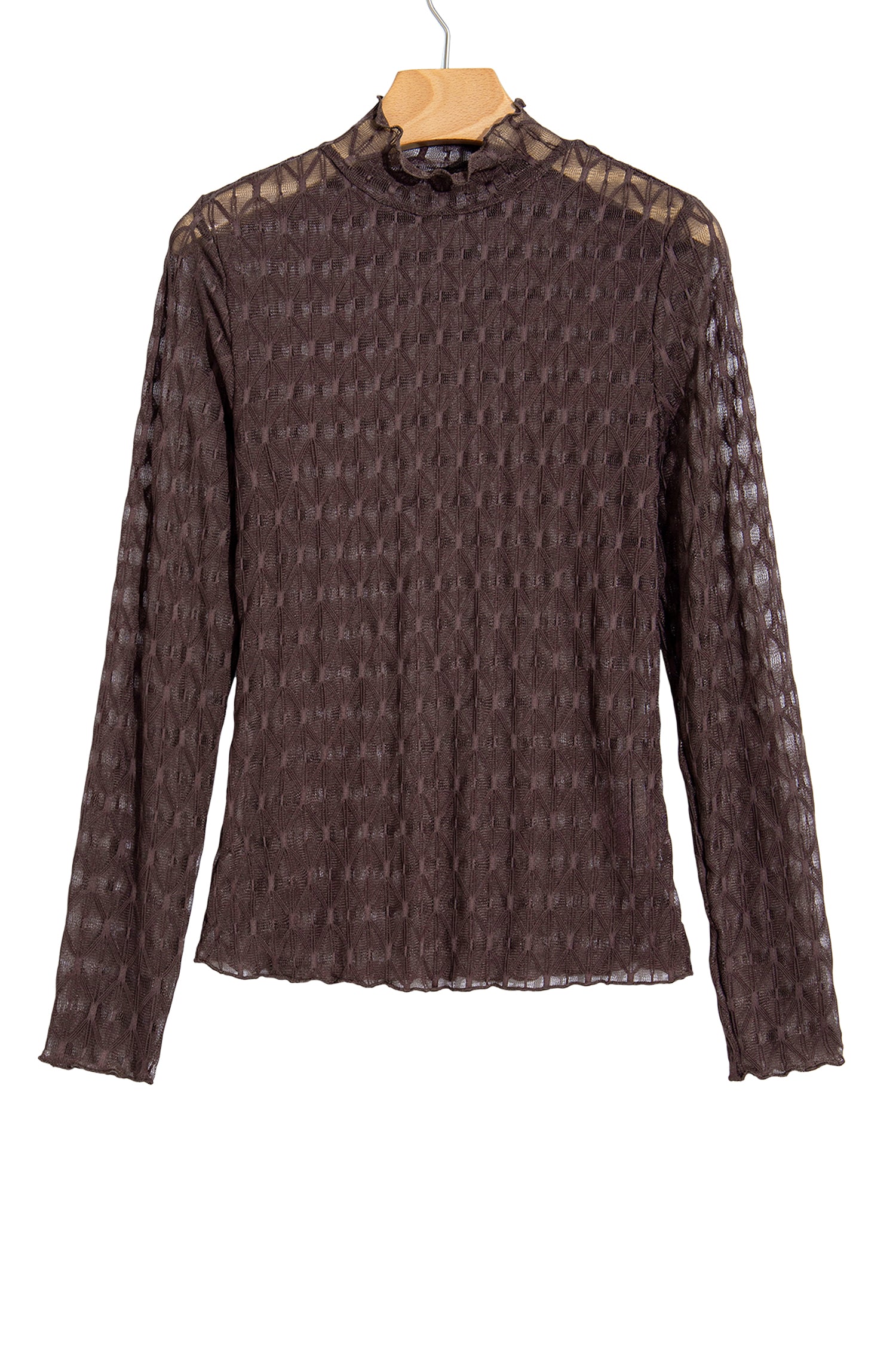 Chicory Coffee Sheer Textured Lace Stand Neck Long Sleeve Top-Tops/Long Sleeve Tops-[Adult]-[Female]-2022 Online Blue Zone Planet
