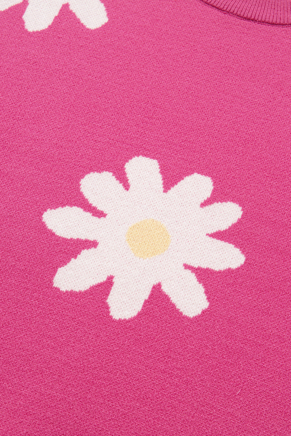 Bright Pink Daisy Ribbed Hem Sweater-Sweaters-[Adult]-[Female]-2022 Online Blue Zone Planet