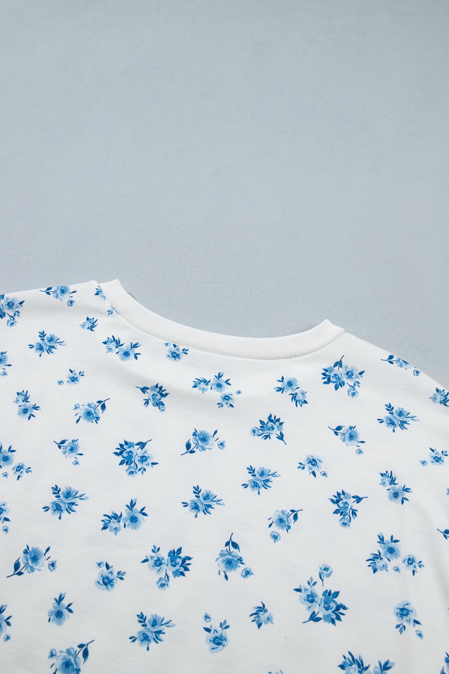 Sky Blue Floral Print Long Sleeve Top Elastic Waist Ruffle Hem Shorts 2pcs Set-Two Piece Sets/Short Sets-[Adult]-[Female]-2022 Online Blue Zone Planet
