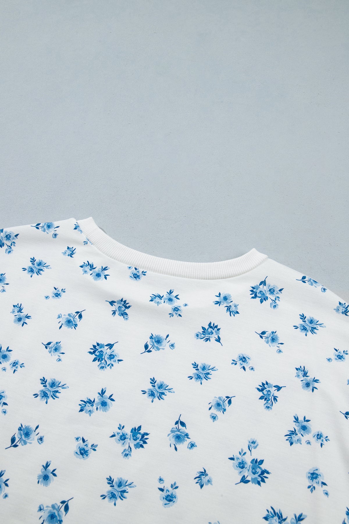 Sky Blue Floral Print Long Sleeve Top Elastic Waist Ruffle Hem Shorts 2pcs Set-Two Piece Sets/Short Sets-[Adult]-[Female]-2022 Online Blue Zone Planet