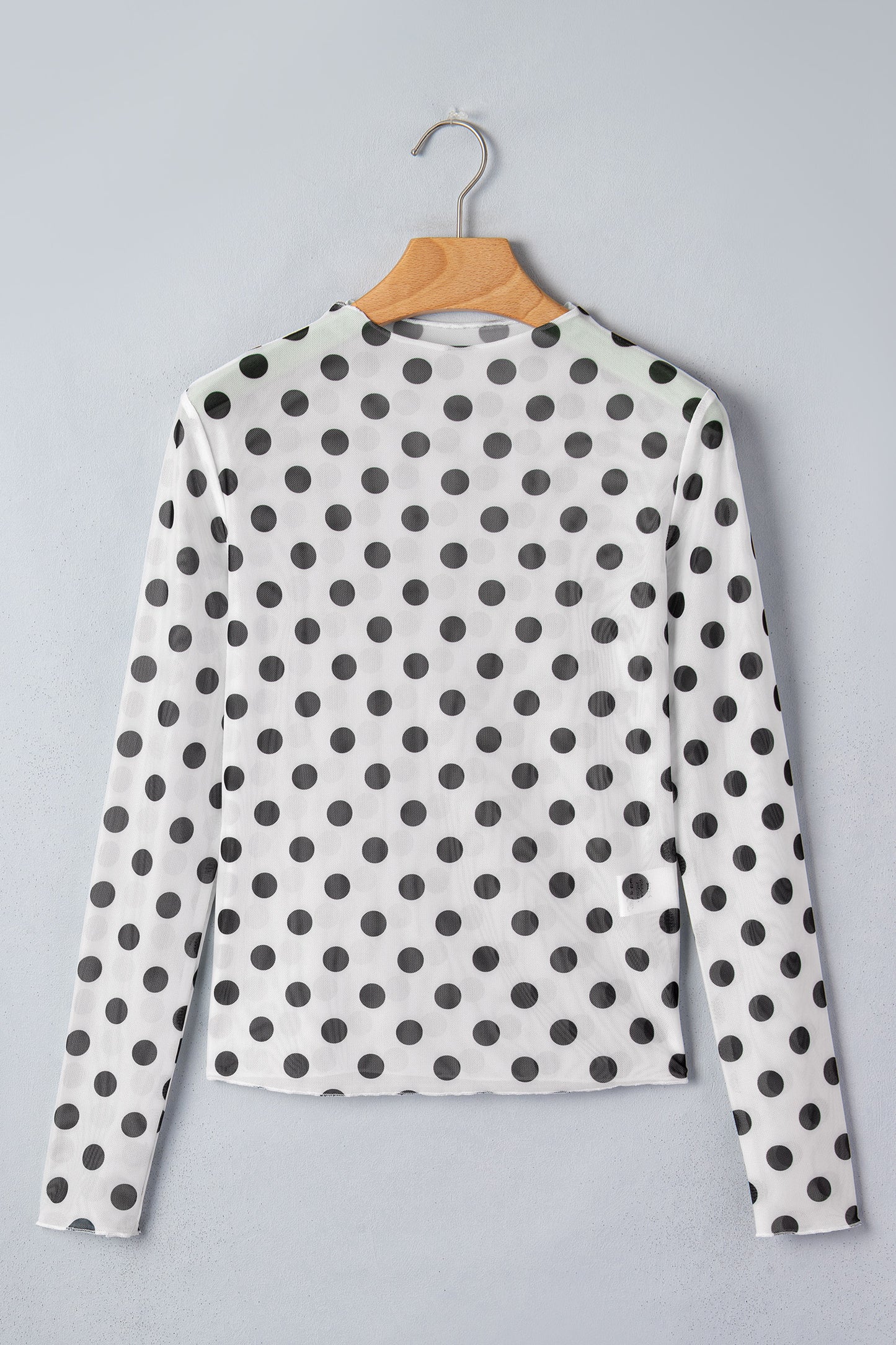 White Polka Dot Sheer Long Sleeve Round Neck Slim Top-Tops/Long Sleeve Tops-[Adult]-[Female]-2022 Online Blue Zone Planet