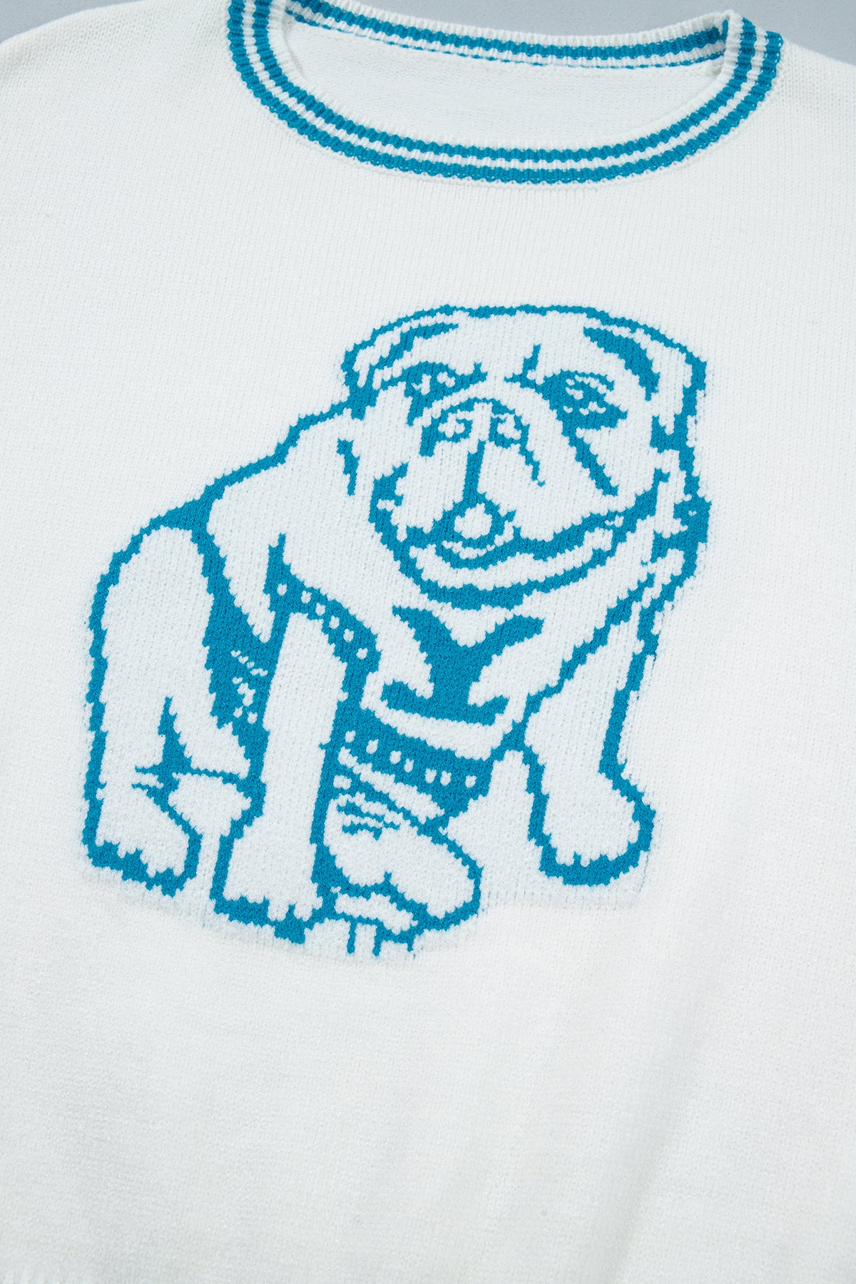 Light Blue Bulldog Contrast Trim Round Neck Casual Sweater-TOPS / DRESSES-[Adult]-[Female]-2022 Online Blue Zone Planet