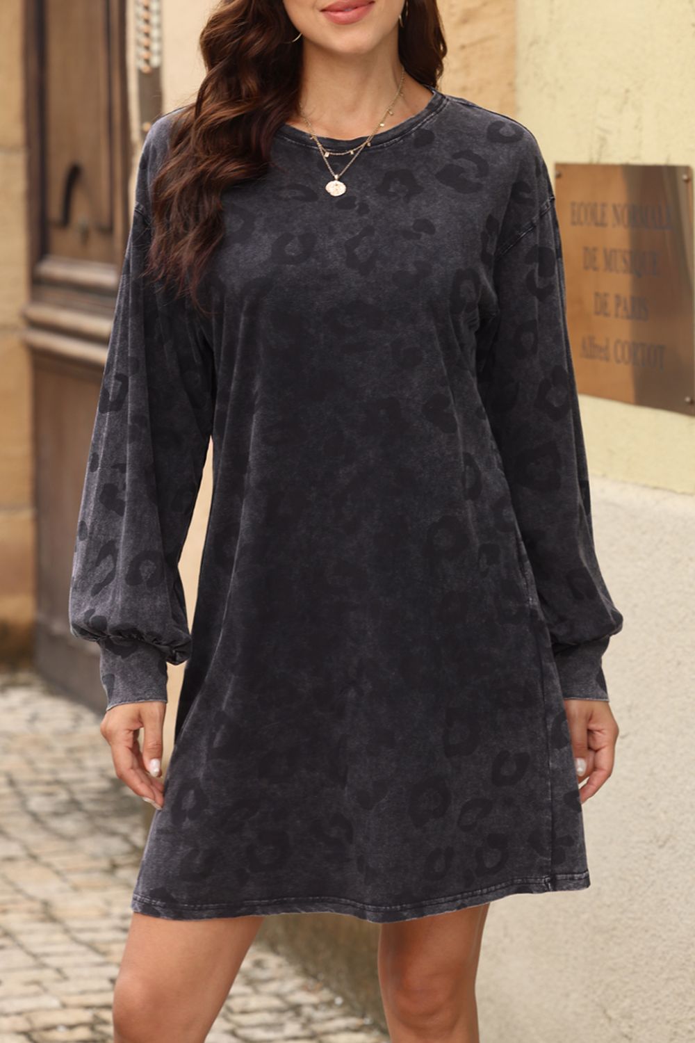 Blue Zone Planet |  Leopard Round Neck Long Sleeve Dress