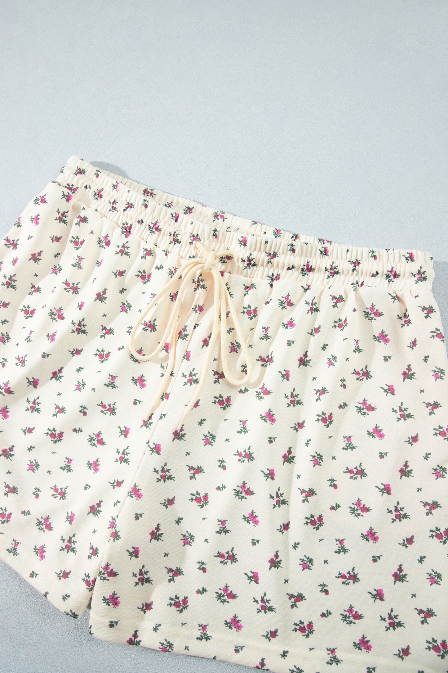 Beige Floral Print Hooded Long Sleeve Plus Size Set