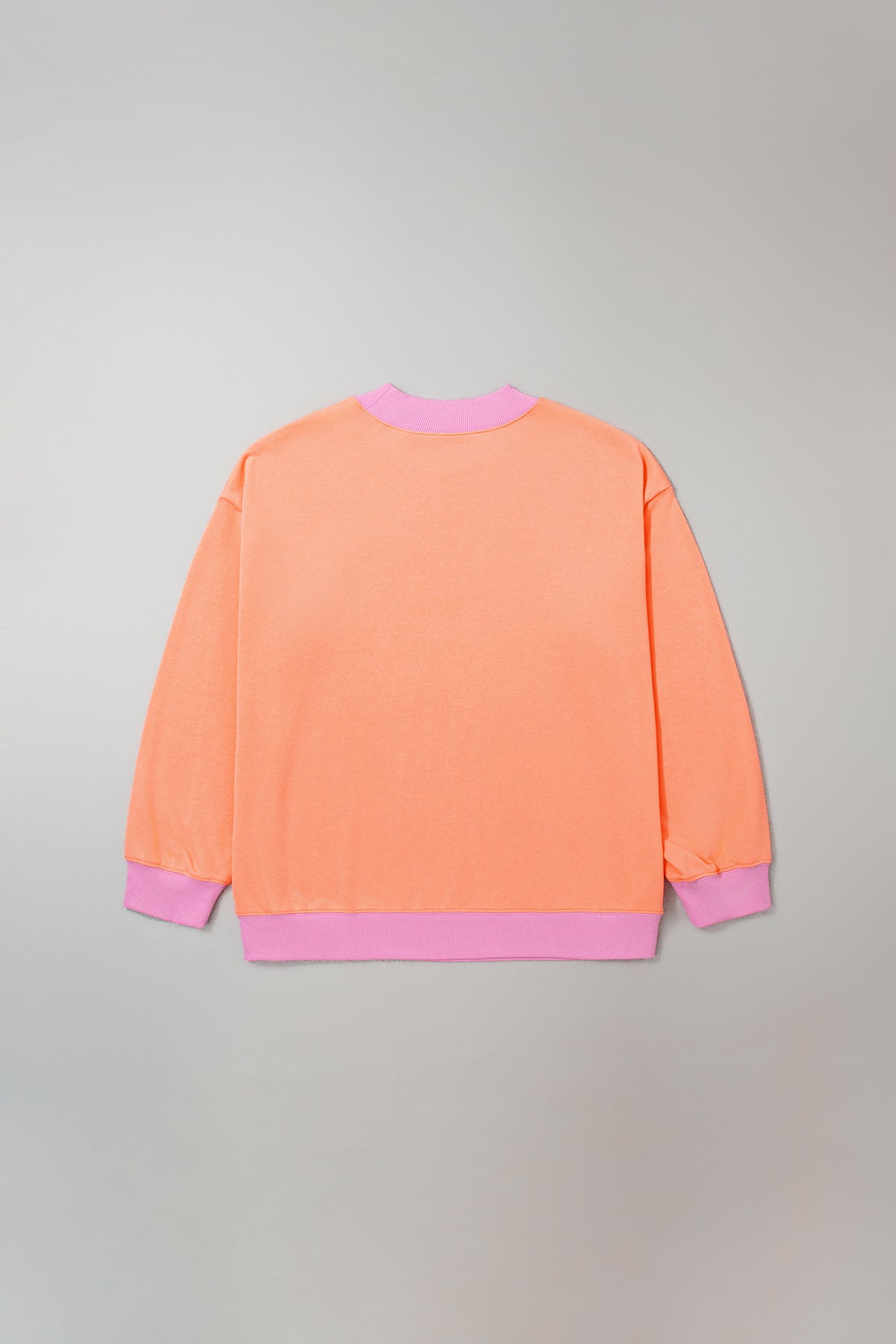 Pink Color Block Contrast Trim Plus Size Sweatshirt-Plus Size/Plus Size Sweatshirts & Hoodies-[Adult]-[Female]-2022 Online Blue Zone Planet