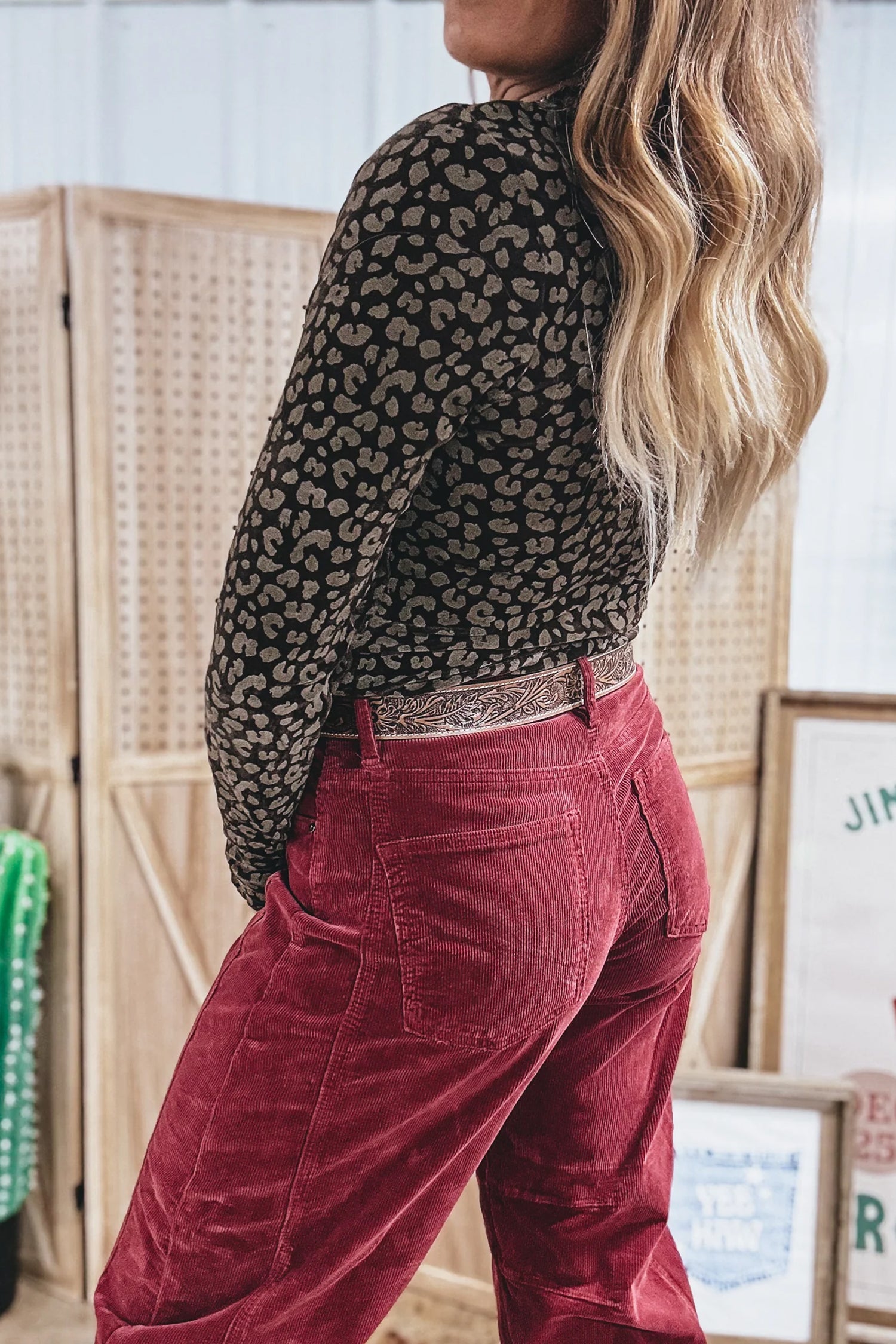 Brown Leopard Print Velvet Long Sleeve Western Style Pullover Top-Tops/Long Sleeve Tops-[Adult]-[Female]-2022 Online Blue Zone Planet