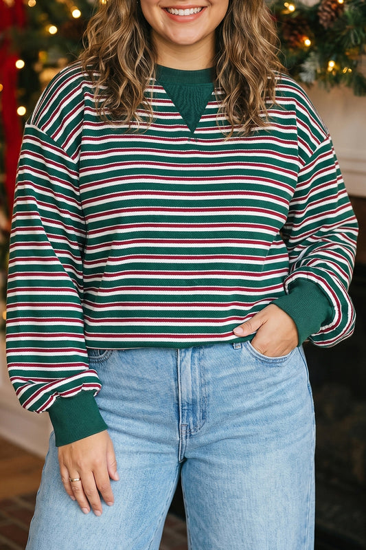 Green Stripe Striped Colorblock Round Neck Long Sleeve Shift Plus Size Sweatshirt-Plus Size/Plus Size Sweatshirts & Hoodies-[Adult]-[Female]-Green Stripe-1X-2022 Online Blue Zone Planet