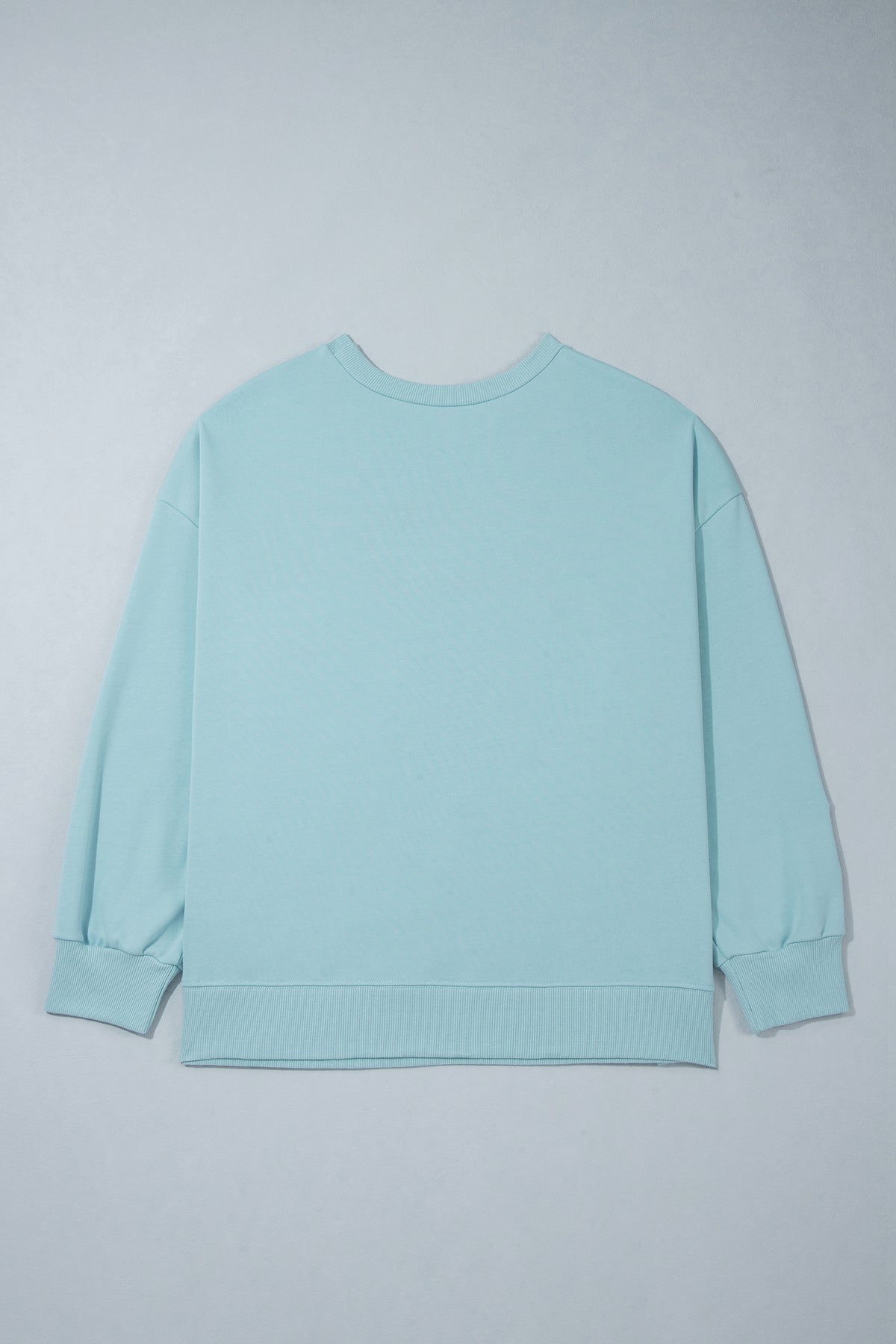 Haze Blue Letter Print Round Neck Loose Fit Long Sleeve Plus Size Sweatshirt-Plus Size/Plus Size Sweatshirts & Hoodies-[Adult]-[Female]-2022 Online Blue Zone Planet