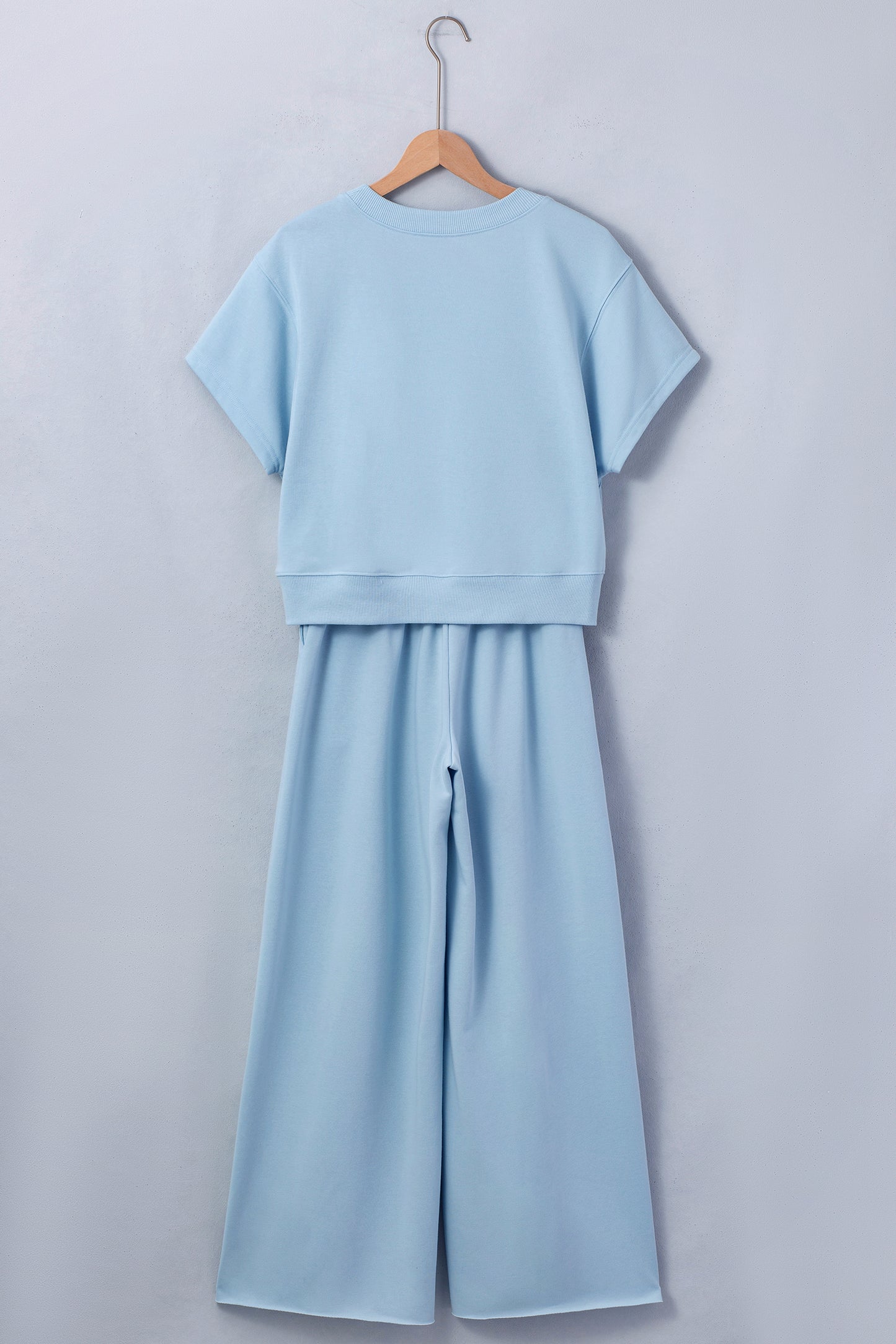 Mist Blue Solid Color Loose Tee Drawstring Wide Leg Pants 2pcs Outfit-Two Piece Sets/Pant Sets-[Adult]-[Female]-2022 Online Blue Zone Planet